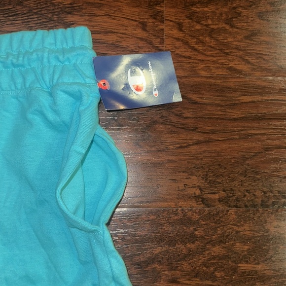 NWT Women’s Champion Mid-Weight Teal Shorts (XL) - Picture 5 of 6